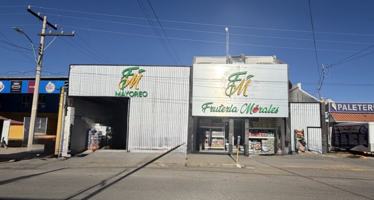 Imagen 11 12 25 a las 8.43 a.m 768x412